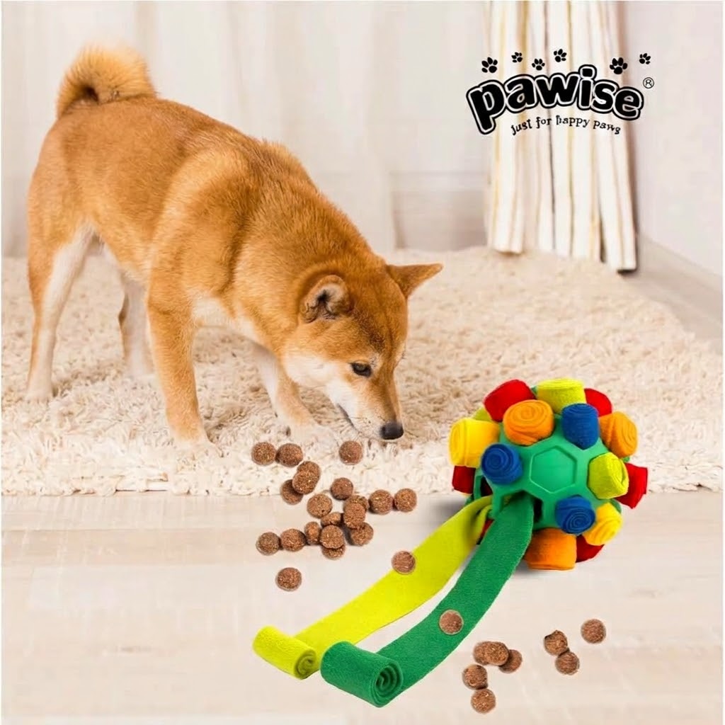 Egy shiba inu kutya a nappali padlóján szimatolva keresi a jutalomfalatokat a kigöngyölt textilcsíkos szimatlabda körül.