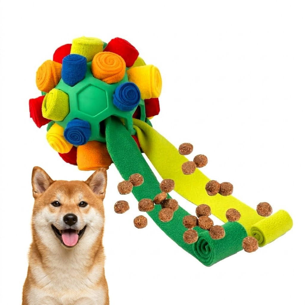 Egy shiba inu kutya figyeli a zöld szimatlabdát, amelyből két hosszú textilcsík van kihúzva, rajtuk elrejtett jutalomfalatokkal.