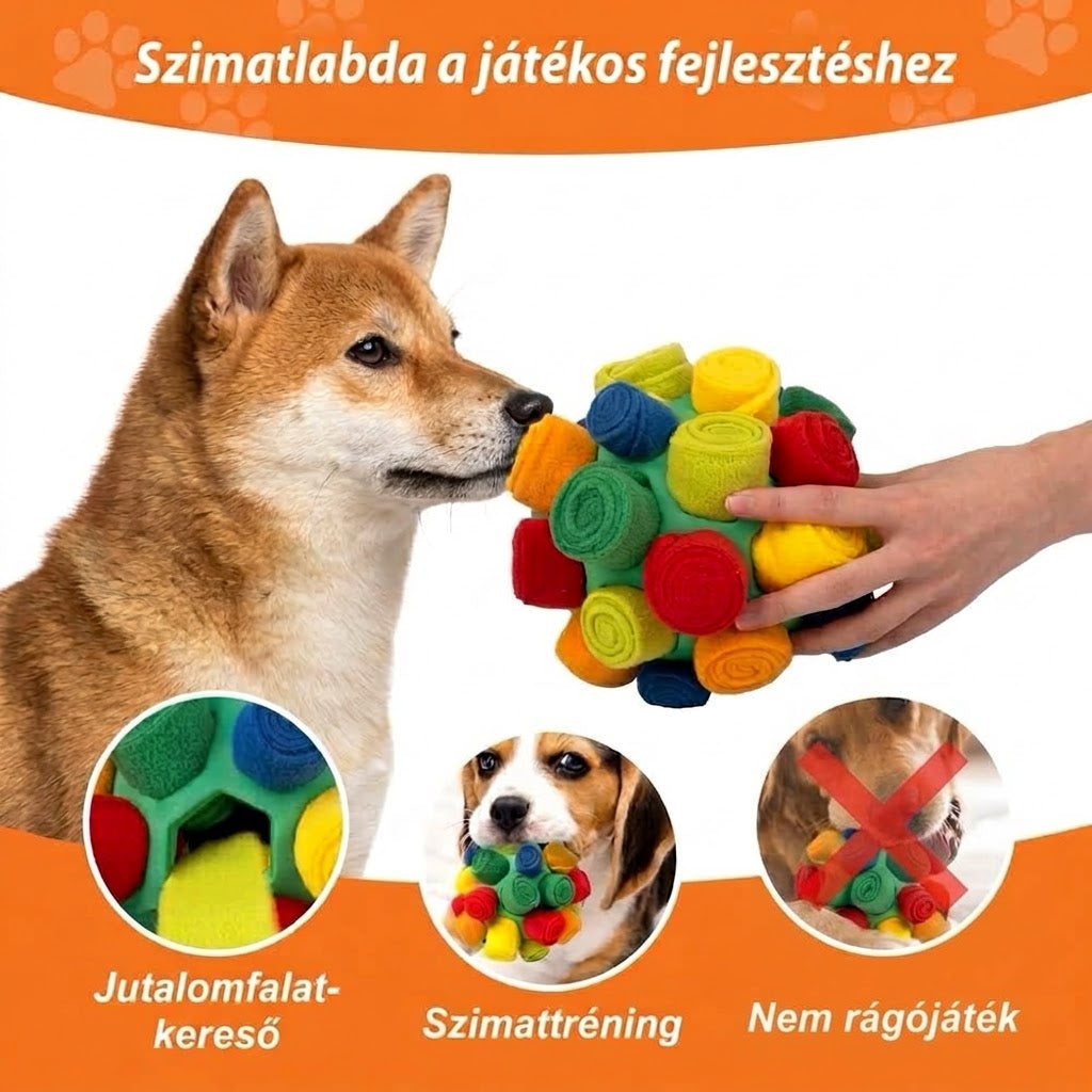 Információs kép, amelyen egy shiba inu szimatolja a gazdi kezében lévő színes labdát. Az alsó piktogramok bemutatják a labda belső jutalomfalat-tároló részét, a szimattréning funkciót, és egy áthúzott képpel figyelmeztetnek arra, hogy a termék nem rágójáték.