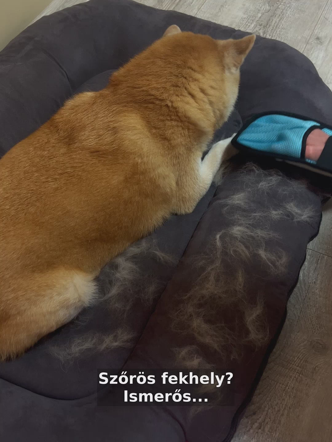 5 Ujjas Szőreltávolító Kesztyű - Kék