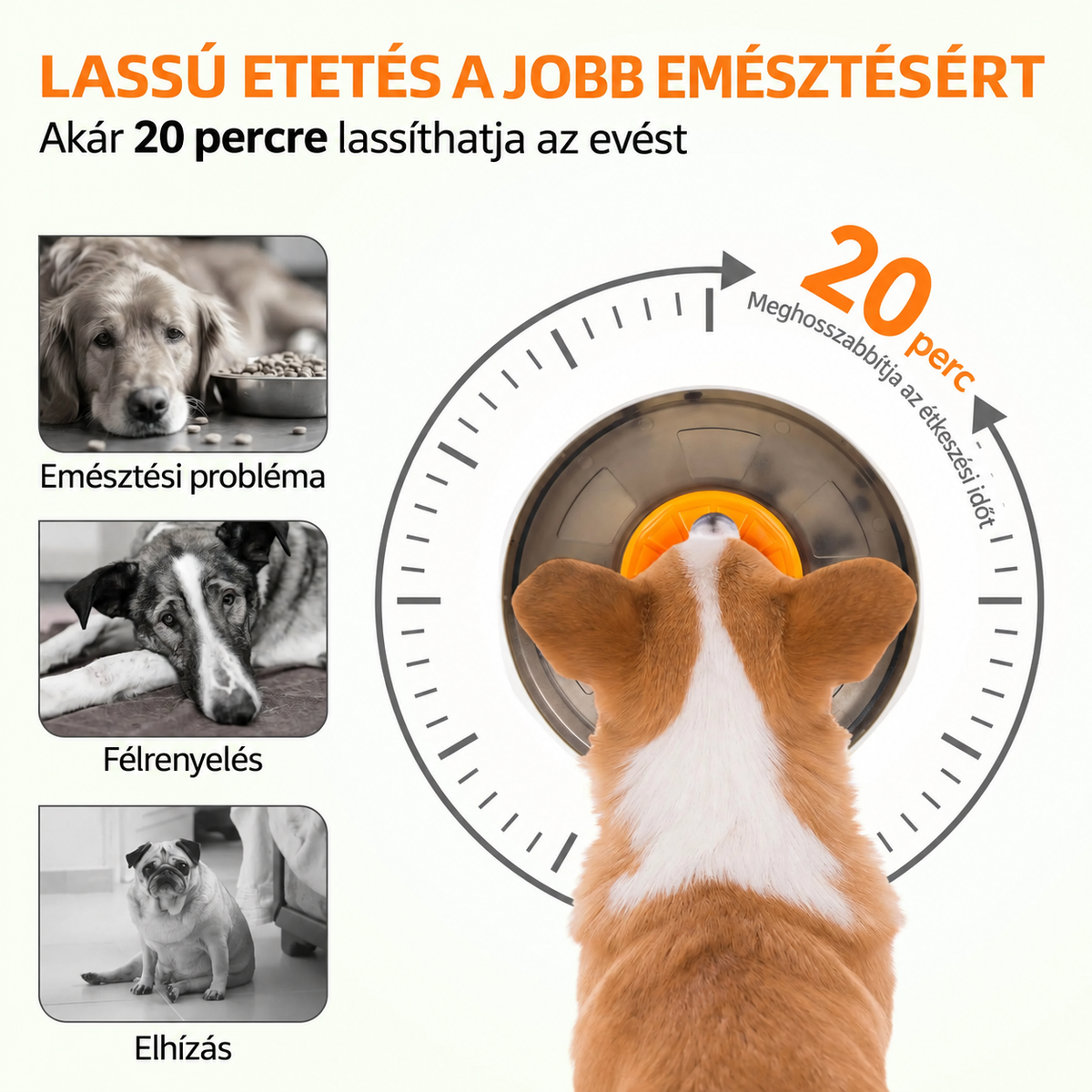 Felülnézeti infografika egy kutyáról, amely az UFO adagolóból eszik, egy óra grafikájával illusztrálva, hogy a játék akár 20 percre is lelassíthatja a habzsolást.