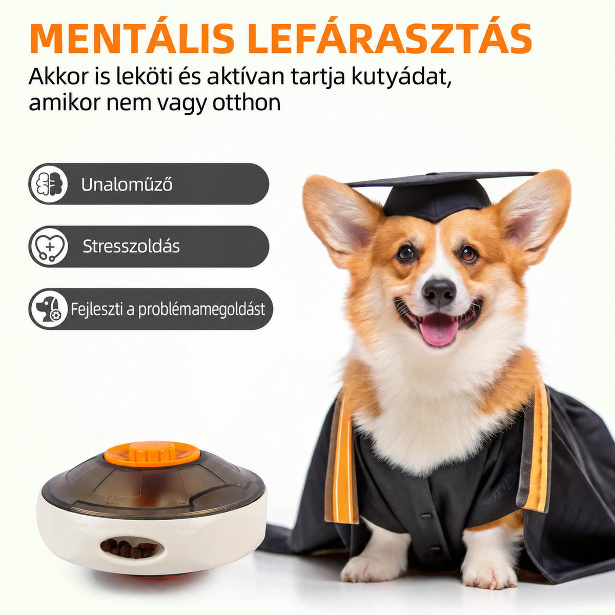 Egy ballagósapkát viselő corgi kutya grafikája, amely a jutalomfalat-adagoló mentális lefárasztó, intelligenciafejlesztő hatását emeli ki.